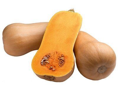 Ķirbji sviesta TIANA F1 100 gab Enza Zaden 